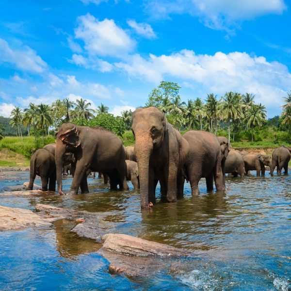 srilanka