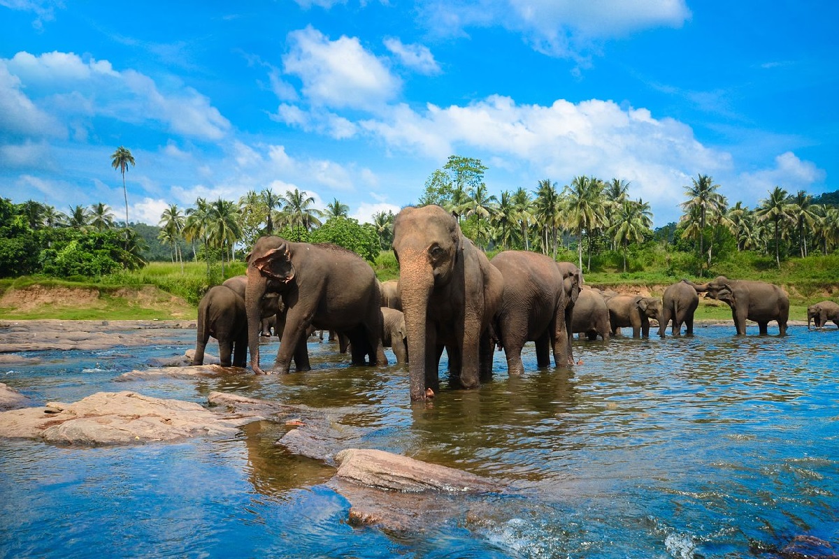 srilanka