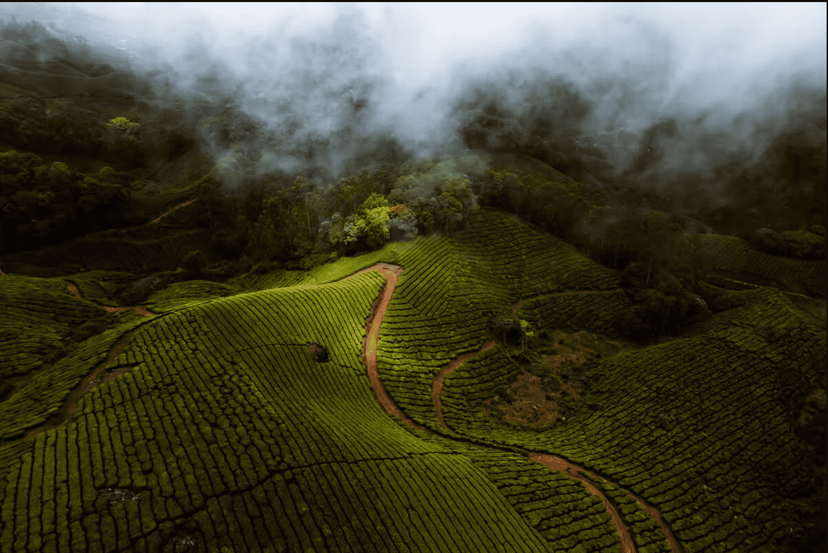 kerala 1